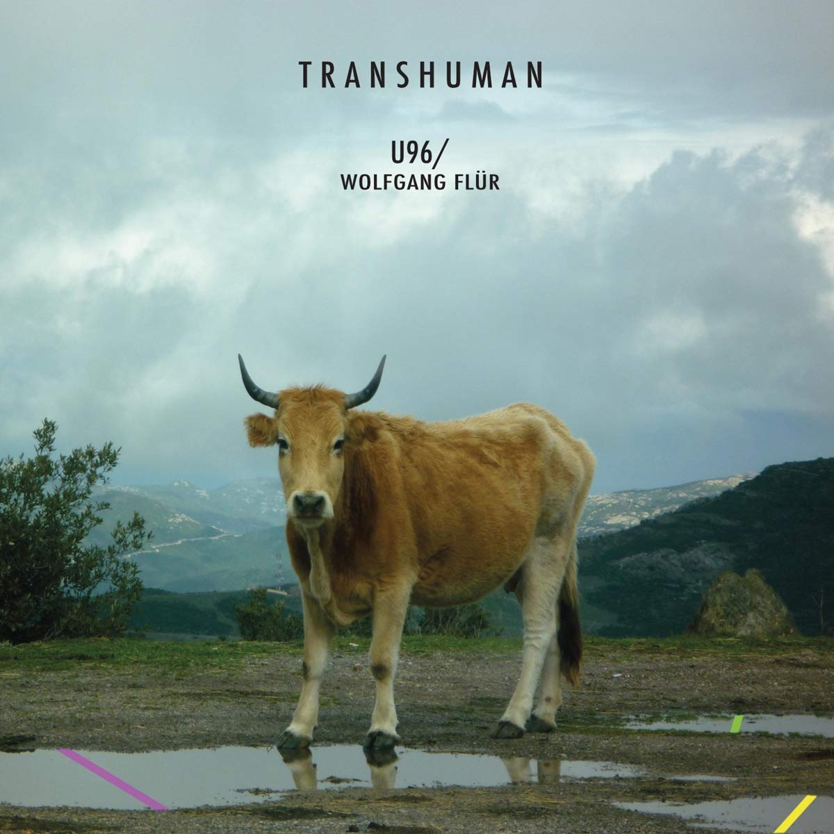 U96 / Wolfgang Flür - «Transhuman» (Album)