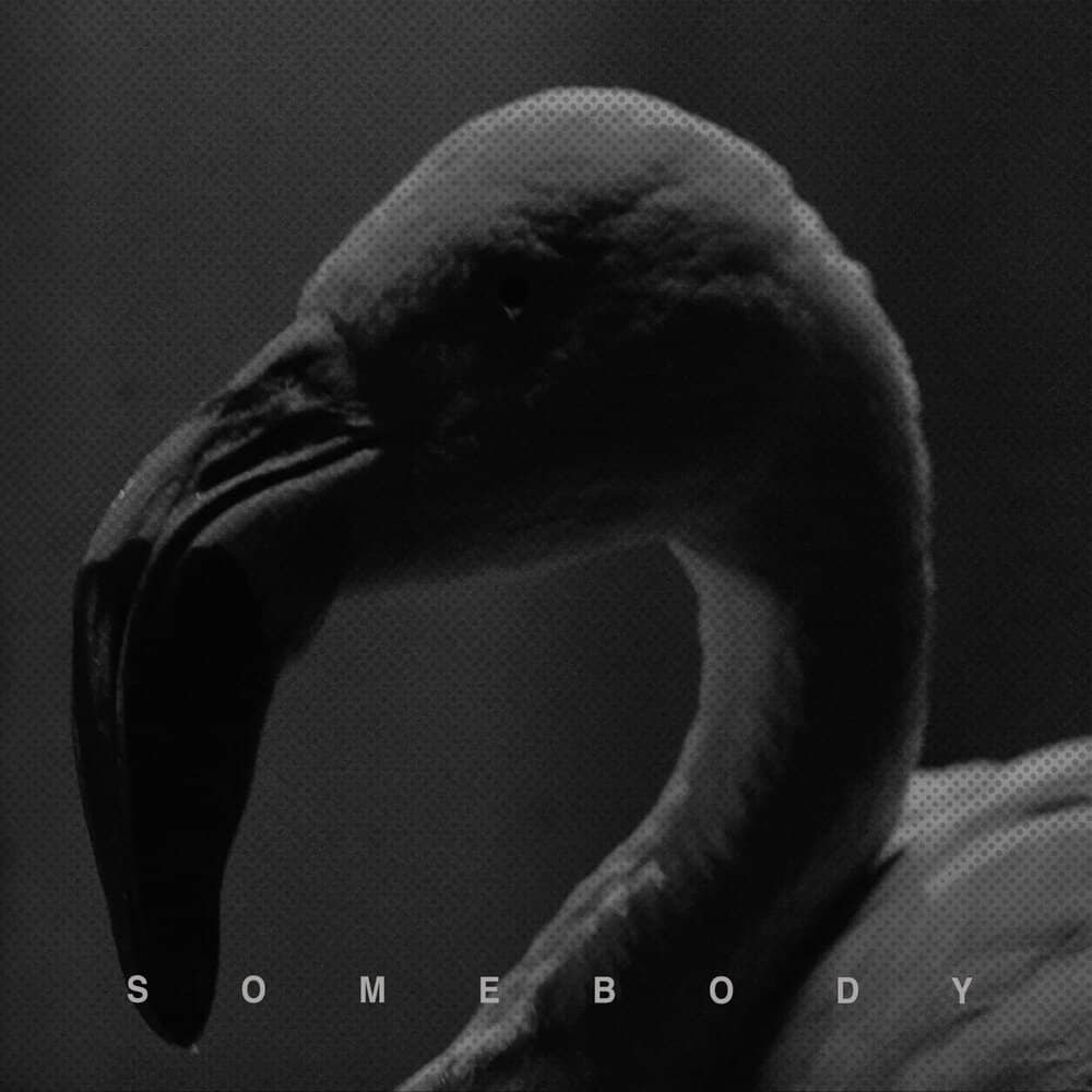Hurts - «Somebody» (Single)