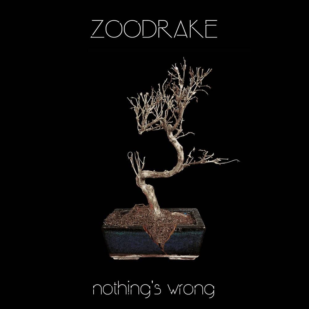 ZOODRAKE - «Nothing's Wrong» (Single)