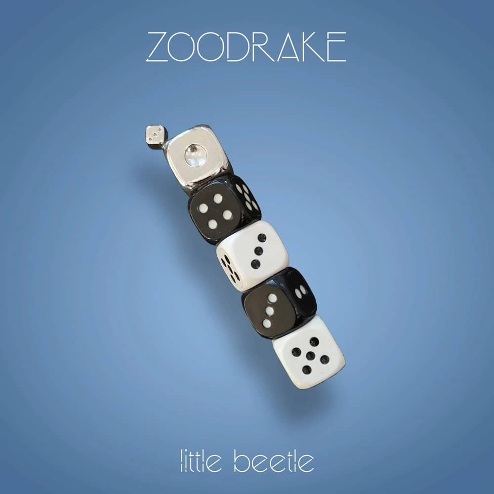 ZOODRAKE - «broken down» (Сингл)