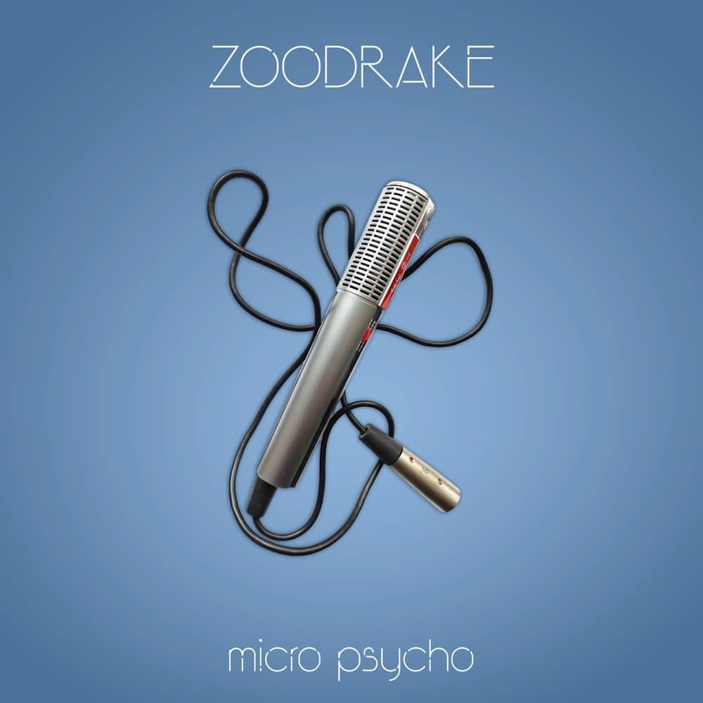 ZOODRAKE - «micro psycho» (Сингл)