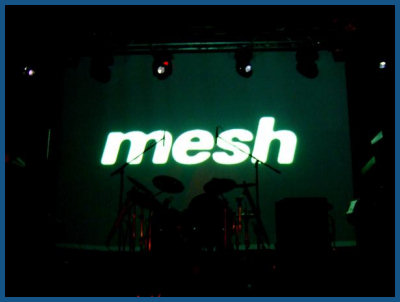 mesh