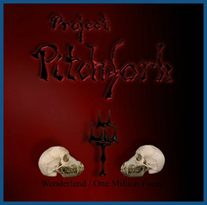 Project Pitchfork «Wonderland / One Milllion Face»