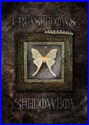 «Shadowbox» DVD
